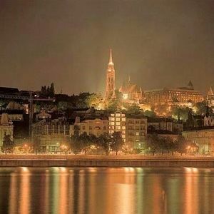 Meet your Posher, Oz